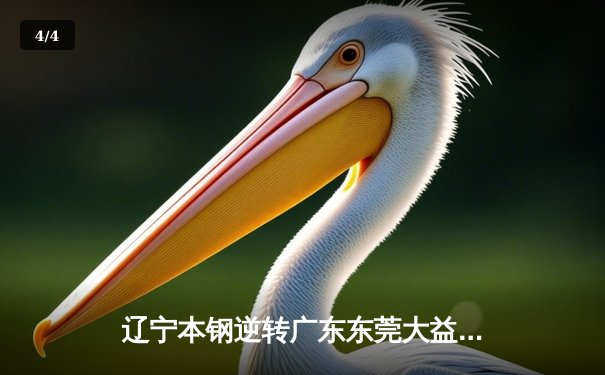 辽宁本钢逆转广东东莞大益，CBA半决赛上演惊天翻盘 - 4